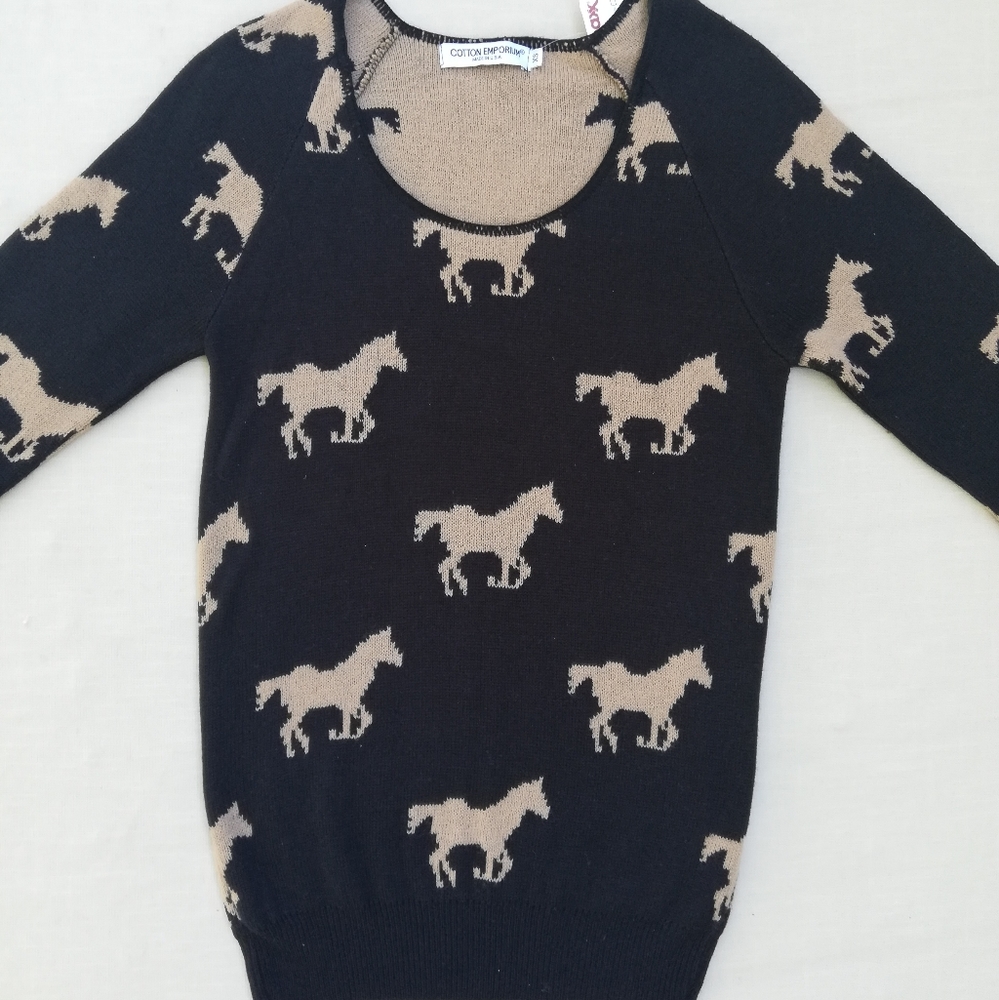 Wild Horse Sweater